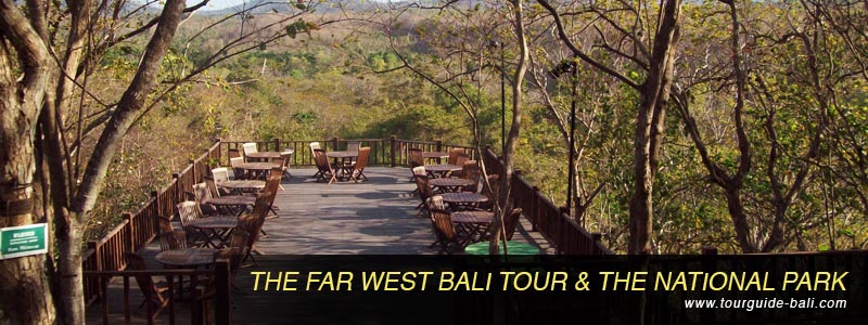 west bali tour the national park