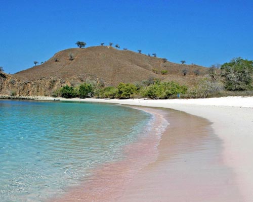 komodo indonesia tour packages